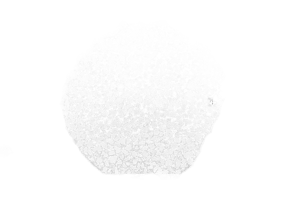 Pellet Cross Section